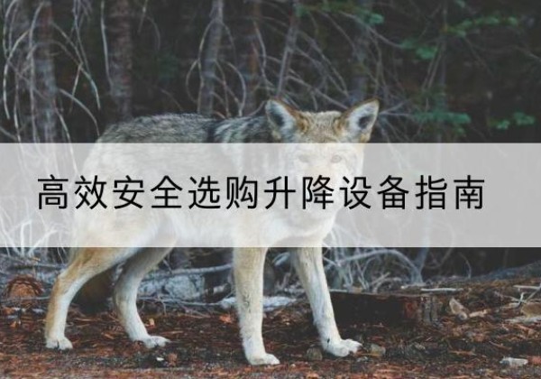 未央升降货梯厂家推荐-*安全选购升降设备指南