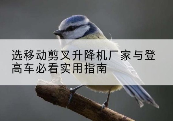 未央电动升降机厂家-选移动剪叉升降机厂家与登高车必看实用指南